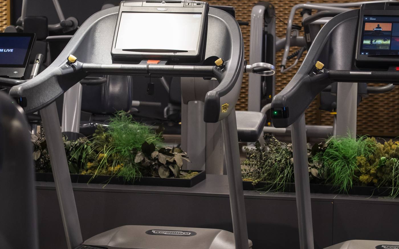 Le consolle dei treadmill Technogym dell'area cardio, con le fioriere verdi alle spalle