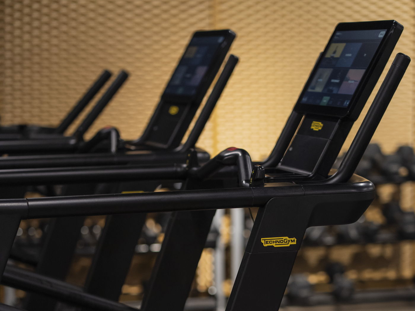 Treadmill Technogym dell'area cardio del Gym Floor