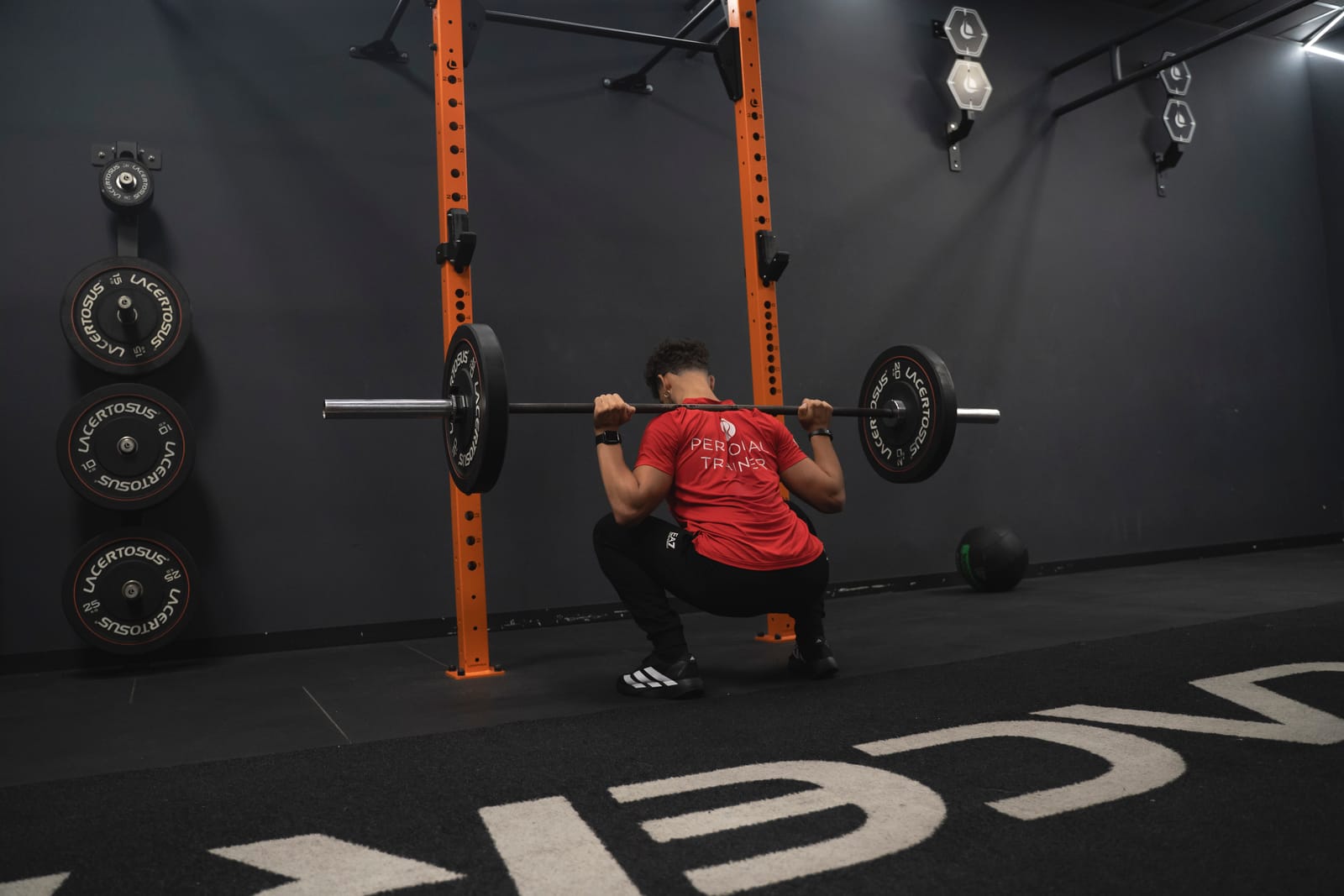 Squat con bilanciere al rack nell'area Lacertosus